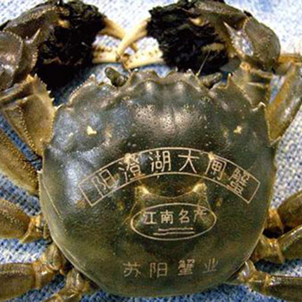 螃蟹打標(biāo)展示圖